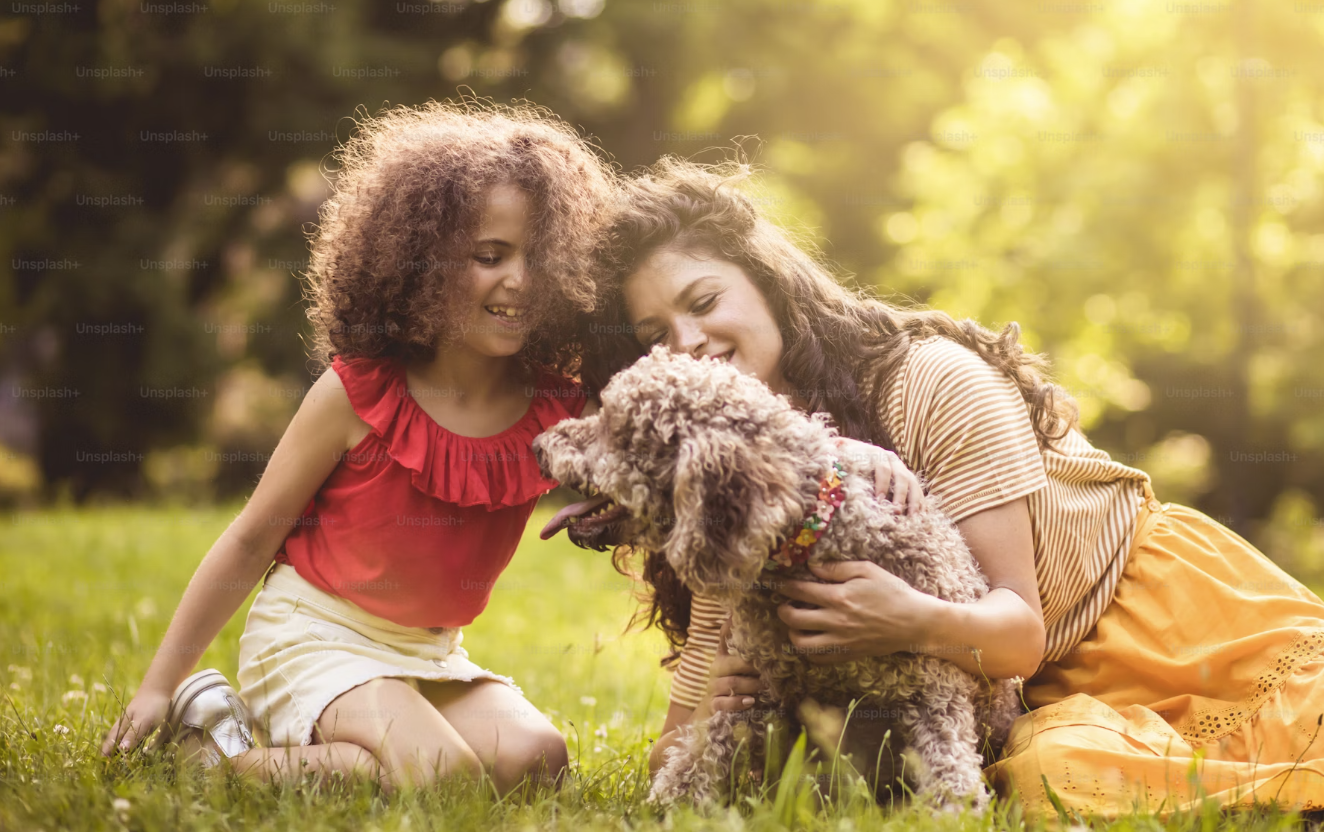 Cordova Doodles Breeder